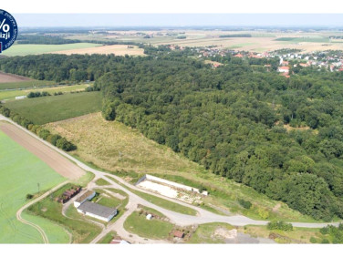 Działka Gniechowice