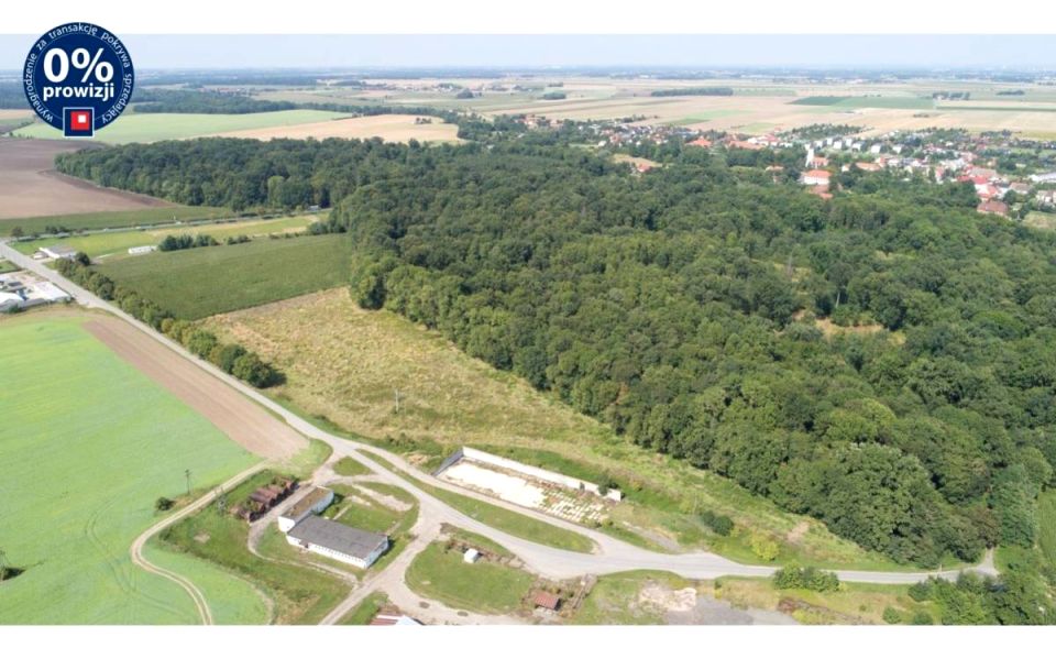 Działka Gniechowice
