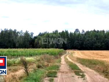 Działka Małkowo