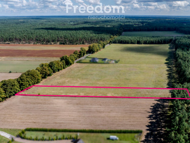 Działka przy lesie
