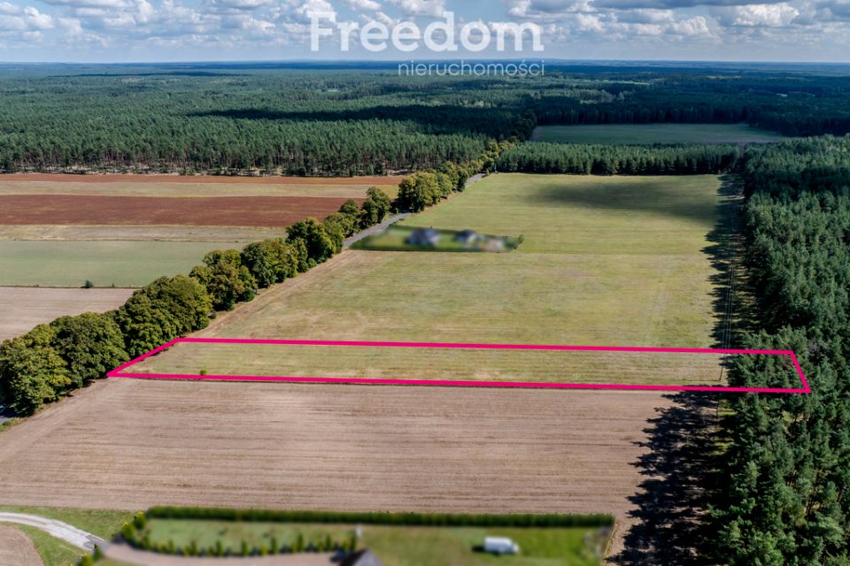 Działka przy lesie