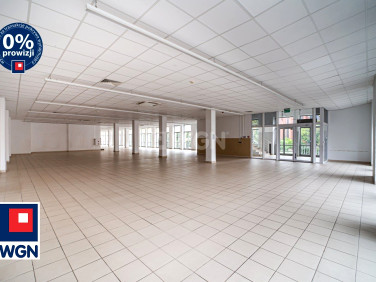 Lokal Legnica