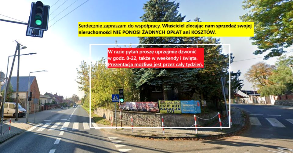 Dom Witnica