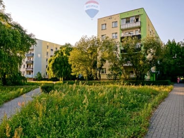Mieszkanie Żyrardów