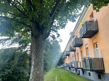 Mieszkanie Jelenia Góra