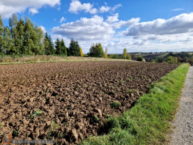 Działka budowlana Łuczyce