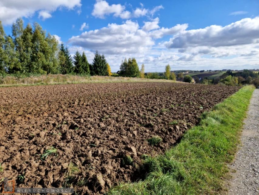 Działka budowlana Łuczyce