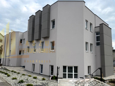 Lokal Żary