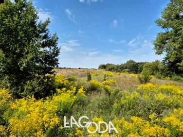 Działka budowlana Gorzów Wielkopolski sprzedam