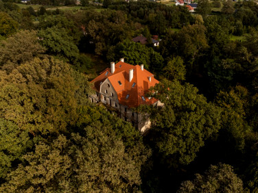 Dom Wilków