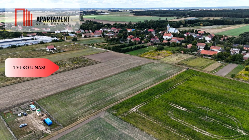 Działka Kryniczno