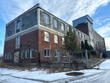 Lokal Zgierz