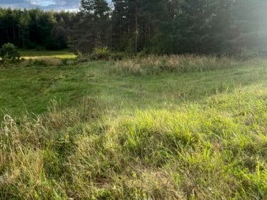 Działka rolna Hołny Wolmera