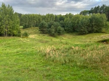 Działka rolna Hołny Wolmera