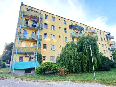 Mieszkanie Kraków