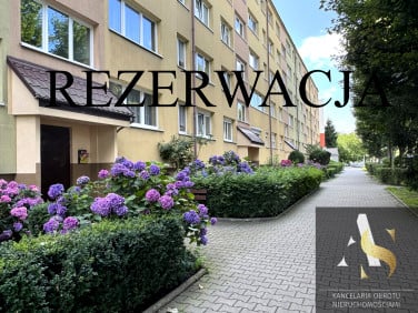 Mieszkanie Zgorzelec