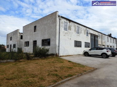 Budynek użytkowy Jacentów sprzedaż