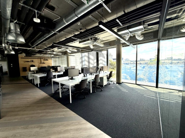 Lokal Warszawa