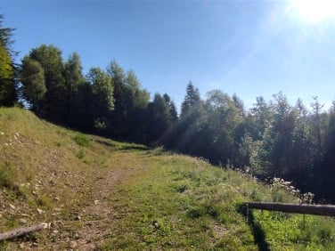 Działka budowlana Szczyrk