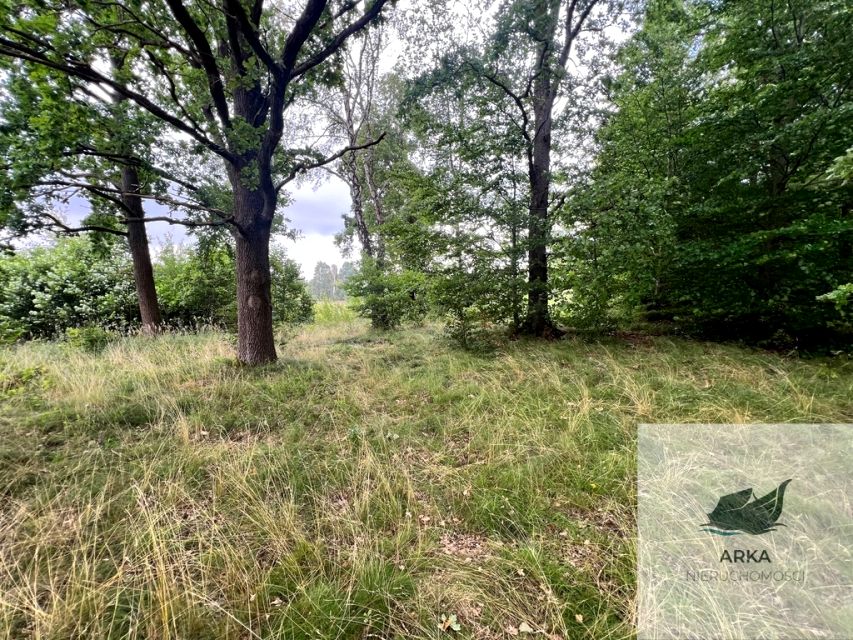 Działka rekreacyjna Storkowo