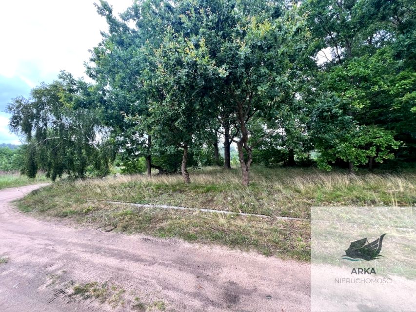Zdjęcie 3