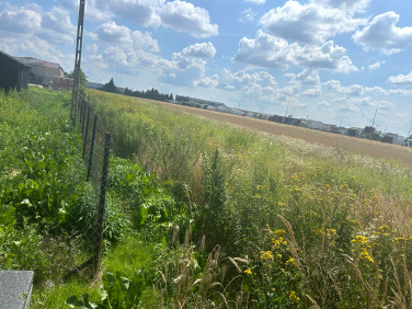 Działka usługowa Sokołów sprzedam