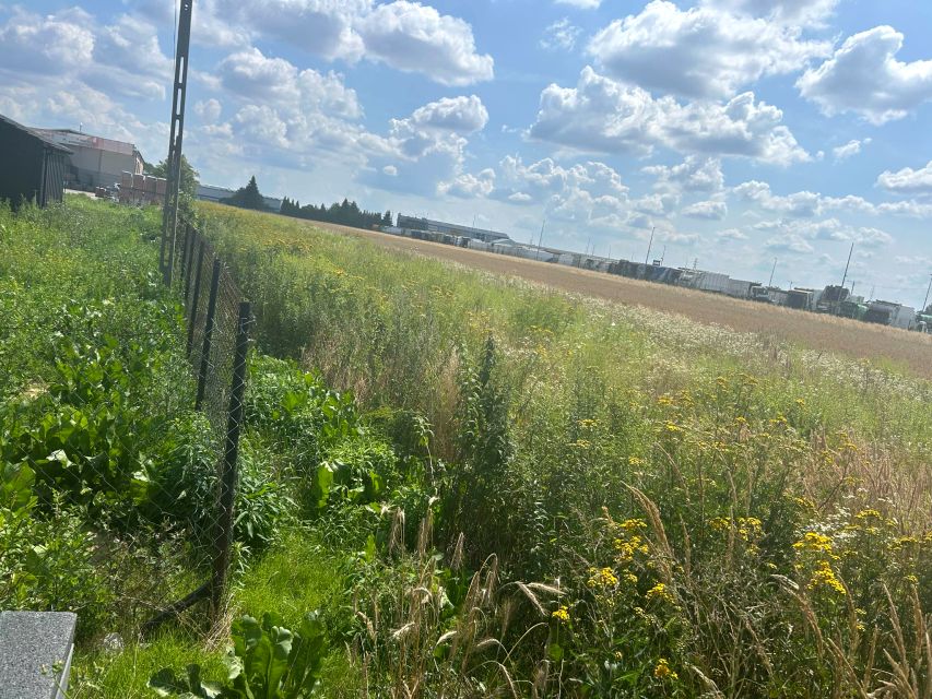 Działka usługowa Sokołów sprzedam