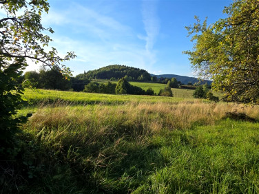 Działka rolna Skrzydlna