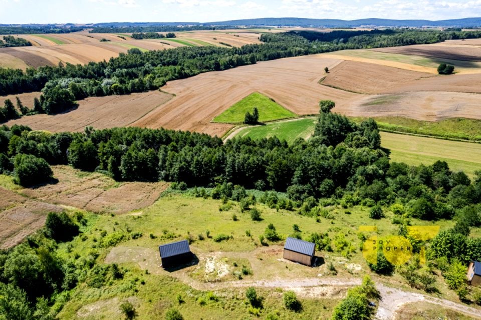 Zdjęcie 3