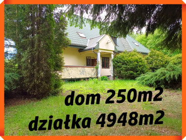Dom Zalesie