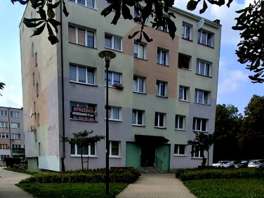 Mieszkanie Polkowice
