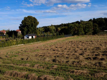 Działka budowlana Kicin