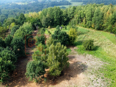 Działka Lubenia