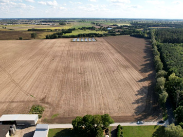 Działka przy lesie
