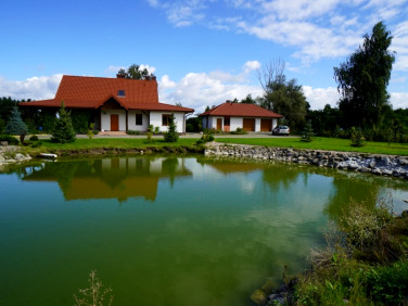 Dom Falbogi Wielkie