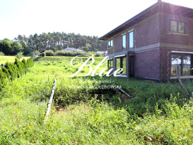 Dom wolnostojący sprzedaż