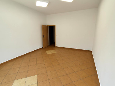 Lokal Żywiec