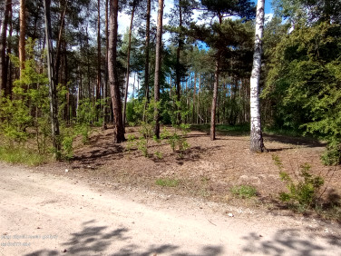 Działka budowlana Wołomin
