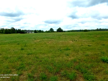 Działka nad jeziorem