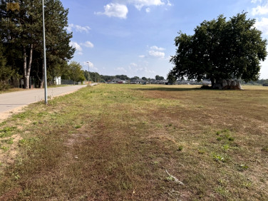 Działka budowlana Skrzeszew sprzedam