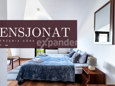 Lokal Jastrzębia Góra