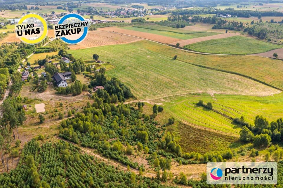 Zdjęcie 3