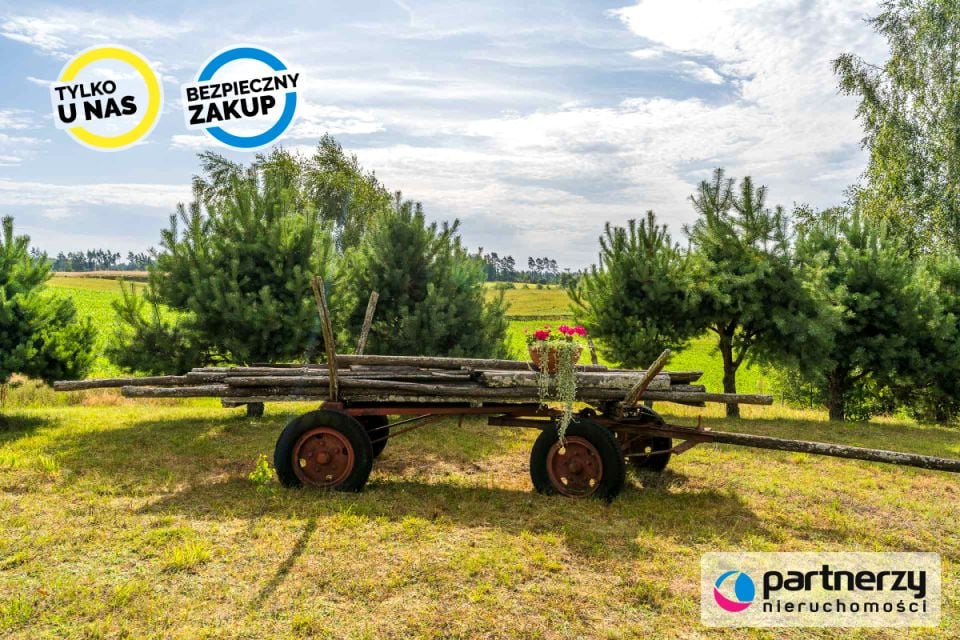Zdjęcie 3