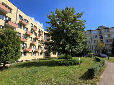 Mieszkanie Chorzów