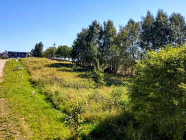 Działka budowlana Błotnia