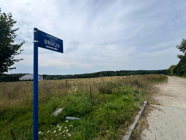 Działka Charzyno