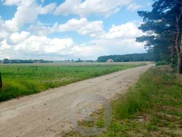 Działka Dziersławice