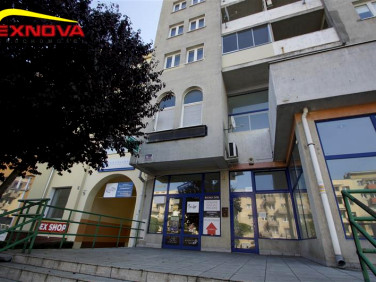 Lokal Elbląg