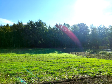Działka budowlana Chojnów