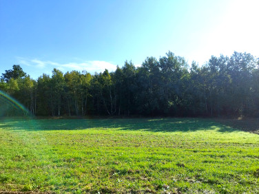 Działka budowlana Czernikowice